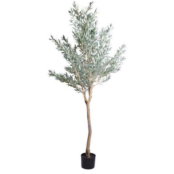 Olivier de 8' FP1444 pour la vente par Replica Plants and Decor