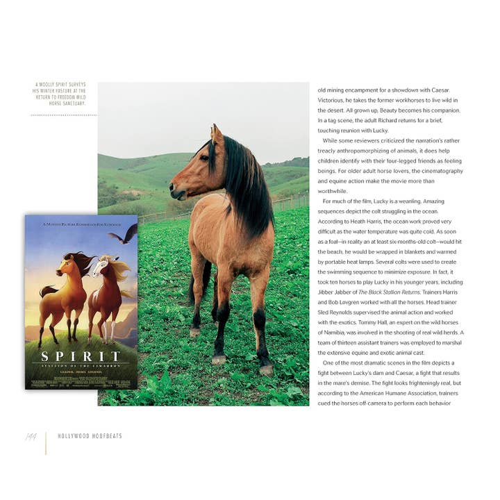 Fox Chapel Publishing - Wholesale Book - Adult - Hollywood Hoofbeats - The Story of Horses in Movies and TV