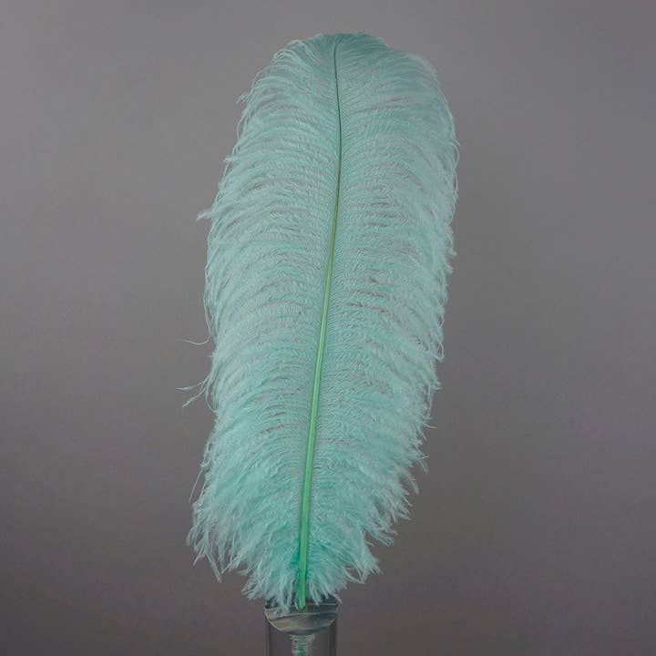 Stora strutsfjädrar - 17"+ Drabs - Mint för wholesale av Zucker Feather Products