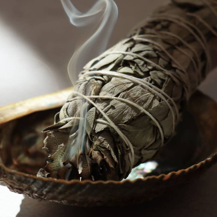Vives de la Cortada S.L - Wholesale Sage Bundle - California white sage torch (Salvia Apiana)