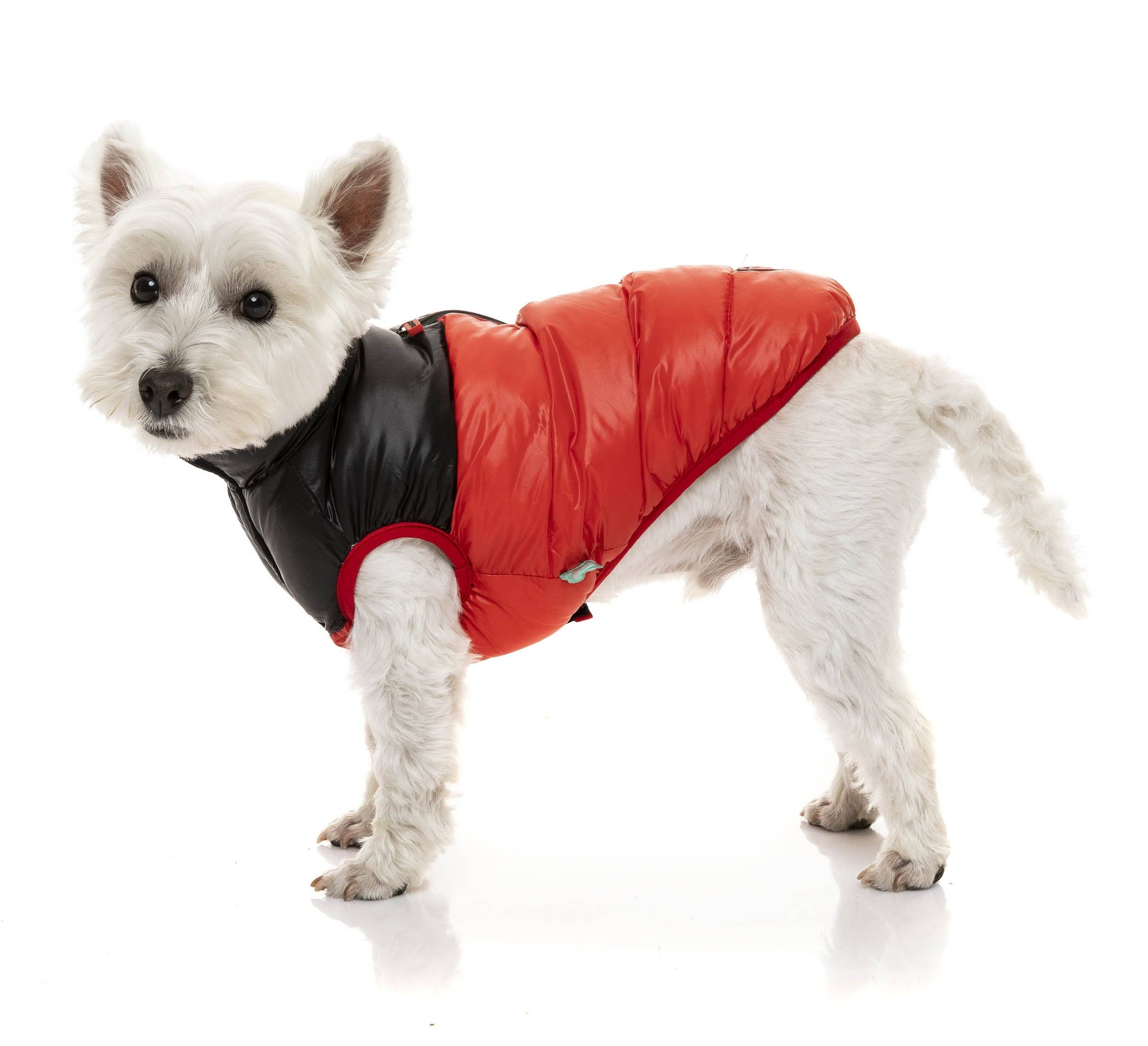 In Vogue Pets – wholesale Pet jacket – Dog – Harlem Puffer Jacket - Red2