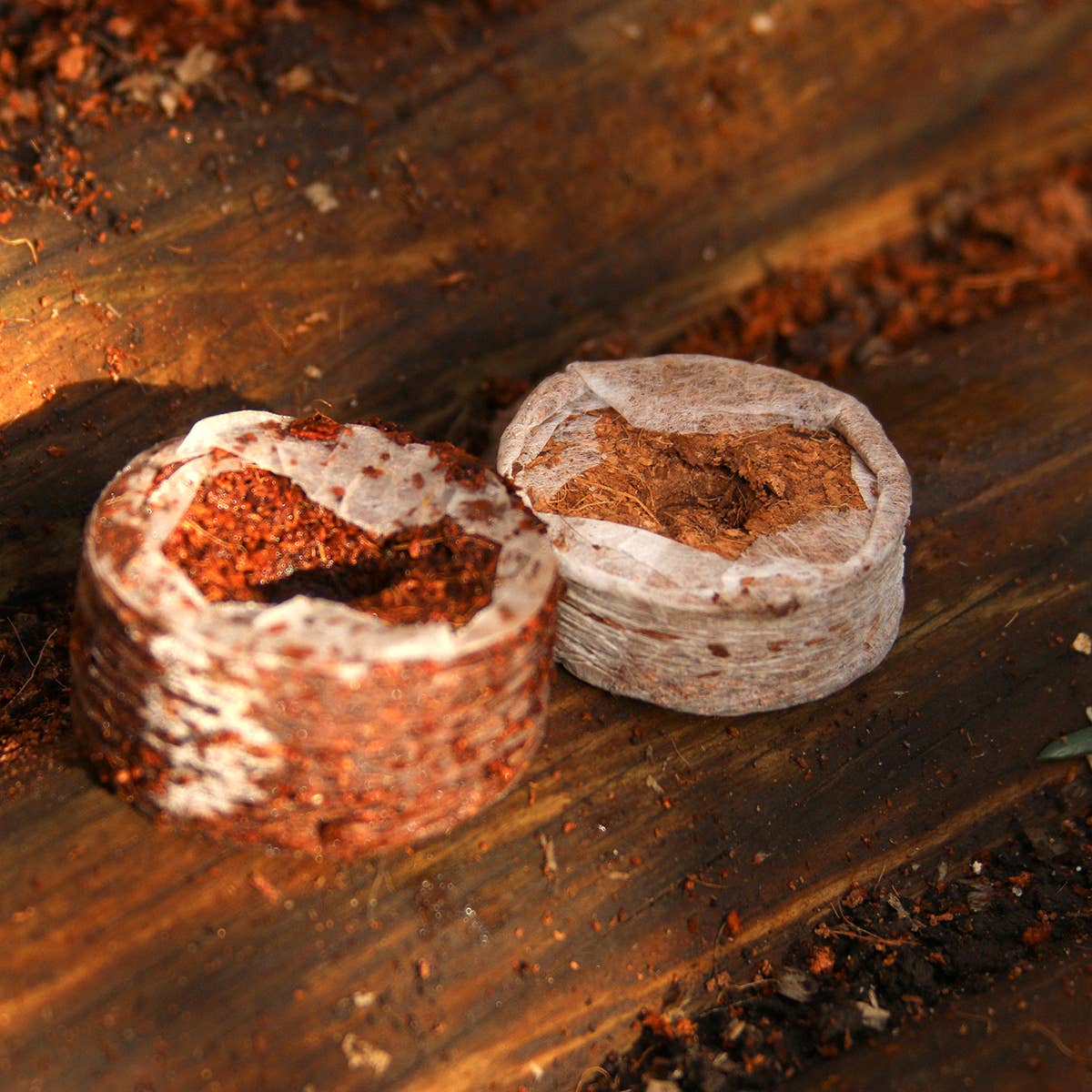 CoirProducts.co.uk of Salike Limited – wholesale Planting/potting soil – Coirproducts (cpuk) 38mm Coircoins (coir Pellets)6