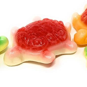 Clever 2,2 Lb Filled Turtles Gummy Bulk for wholesale by Long Island Candy Factory