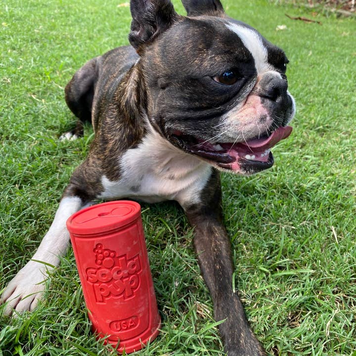 Red Retro Sodacan for wholesale on Faire6