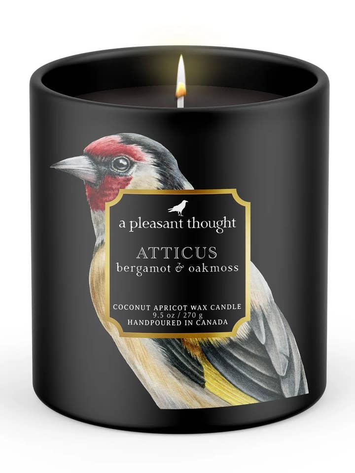 Vela Atticus | Bergamota y Musgo de Roble | Raven Candle para venta al por mayor de A Pleasant Thought
