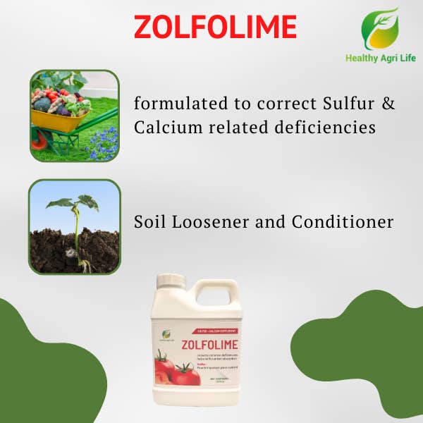 Healthy Paw Life - Venta al por mayor Fertilizantes - Líquido nutritivo sulfuroso para césped y plantas de Zolfolime, aflojador y acondicionador del suelo, ideal para suelos compactos, aguas estancadas y mal drenaje