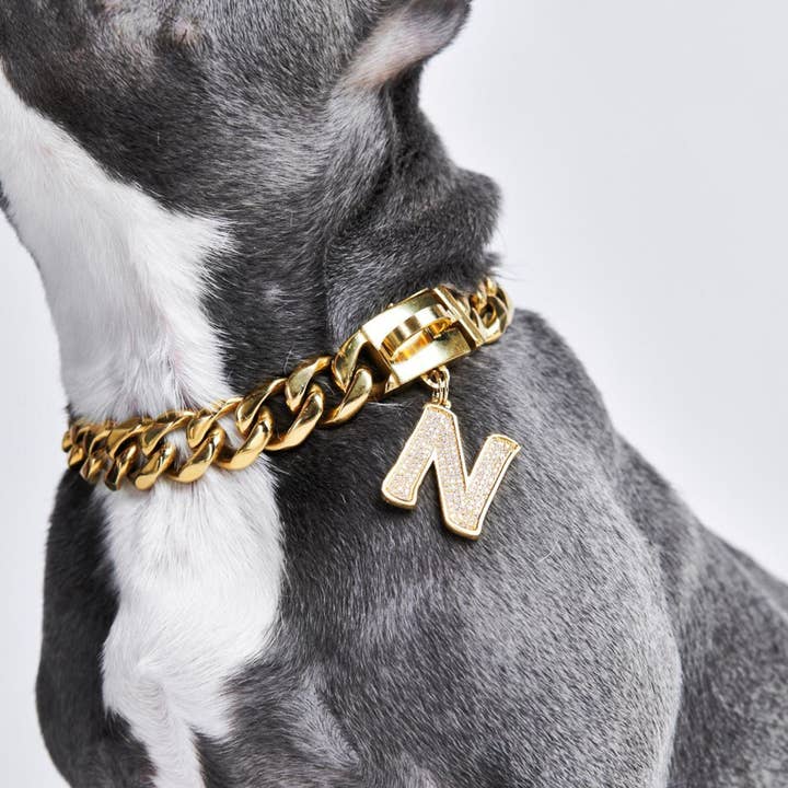 Spark Paws - Wholesale Pet Collar - Dog - Initial Letter Jewelry Tag - N