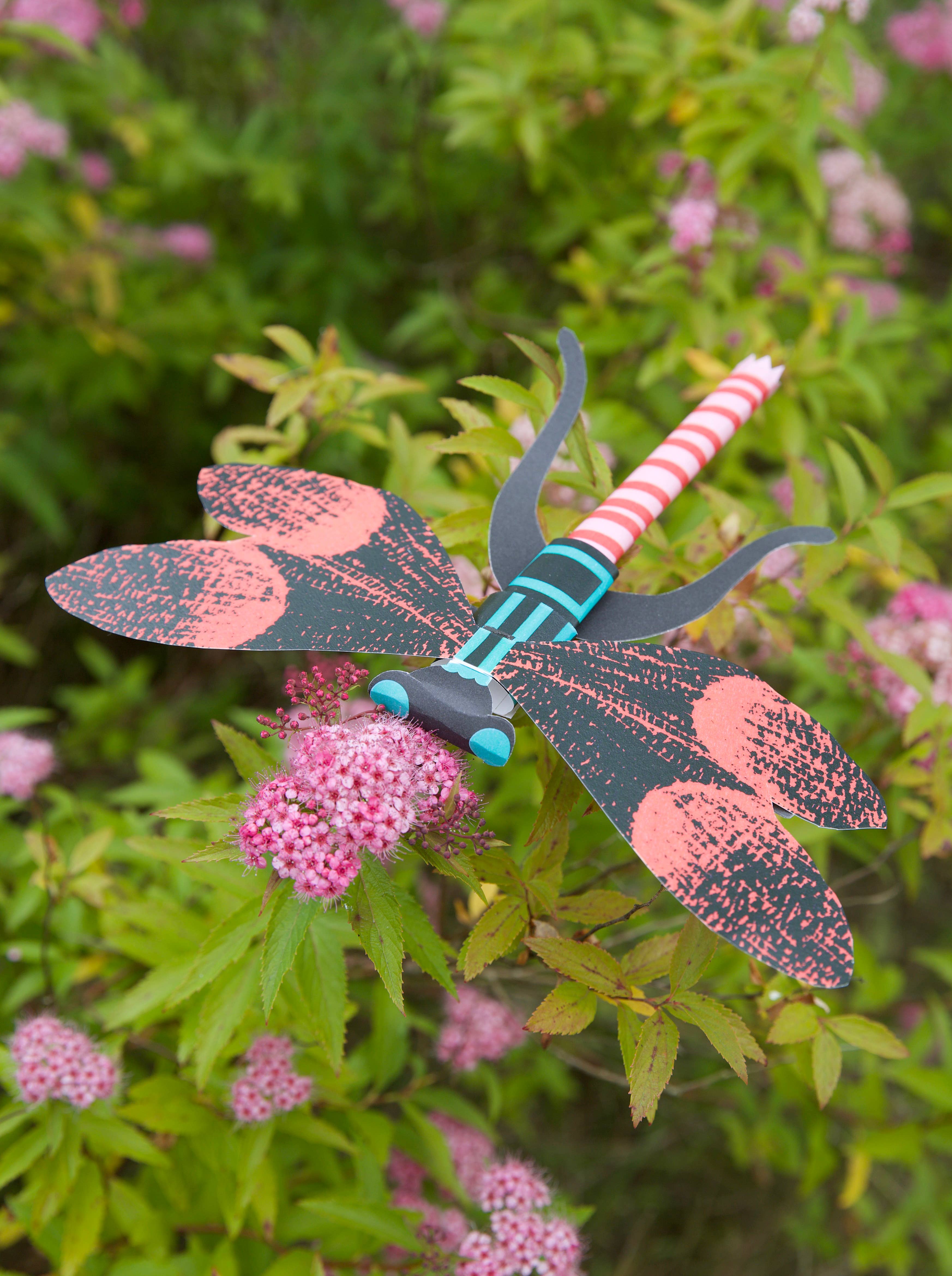 West Design Products – wholesale DIY craft kit – Child – Royal Horticultural Society Make Your Own 3D Bugs Kit6