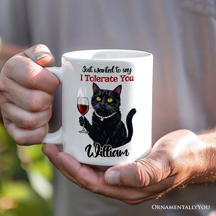 OrnamentallyYou - Wholesale Coffee mug - Just Wanted to Say I Tolerate You Mug, Funny Sarcastic4