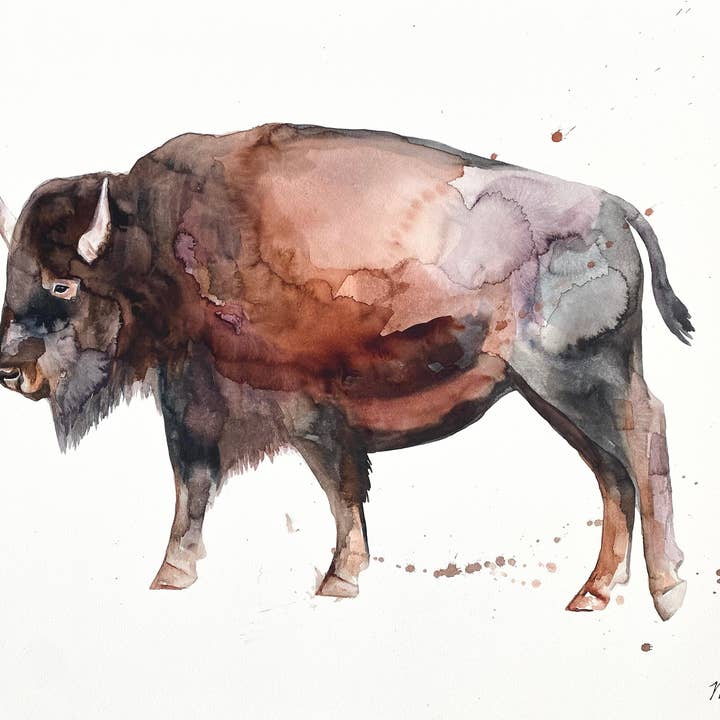 Bison watercolor - american buffalo wildlife canvas print for wholesale by Meredith Oneal Art