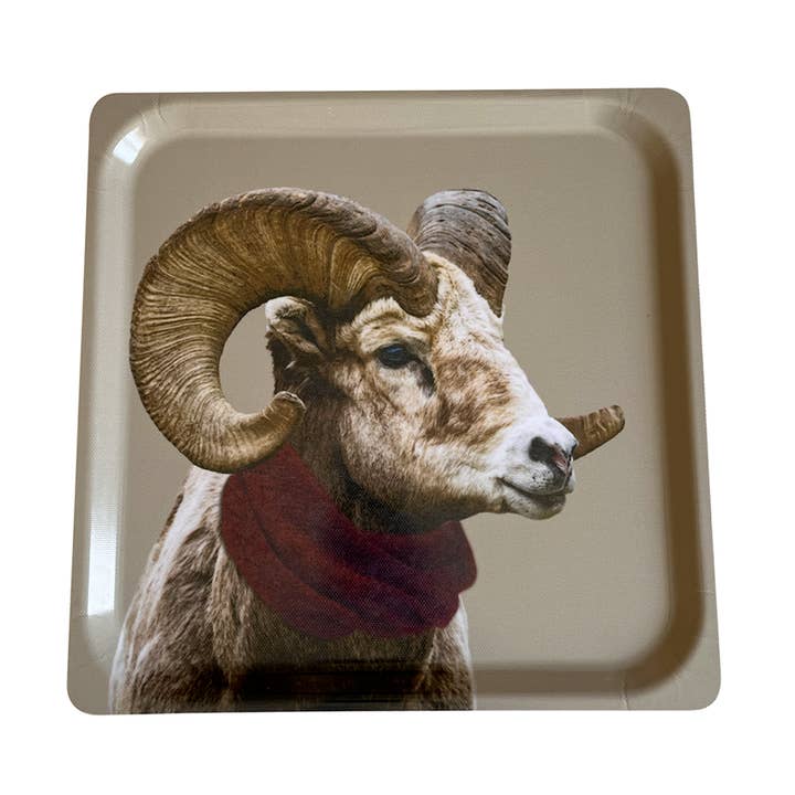 Plateau déco montagne Cabri beige carré - 33x33cm et autres tendances Résultats pour deco chocolat en vente B2B. Retours gratuits et paiement à 60 jours sur Faire sur Faire.