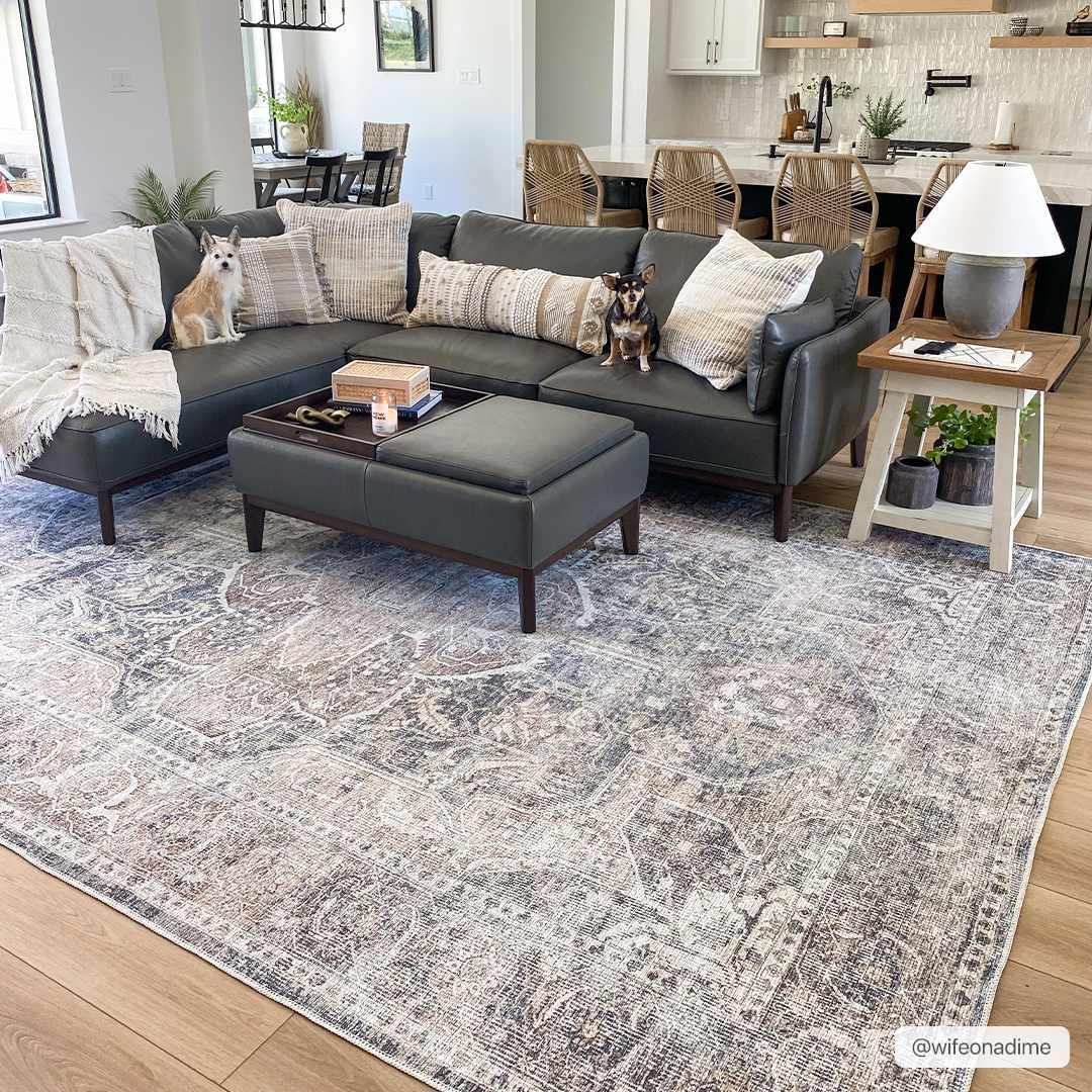Hauteloom - Wholesale Area Rug - Mignon Washable Area Rug2