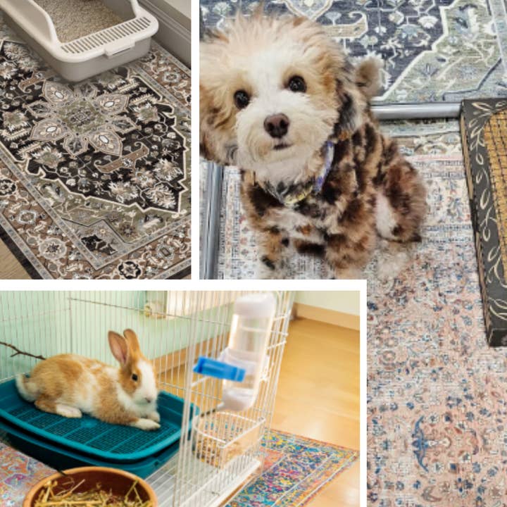 Wallabaga - Wholesale Pet cleaning supplies - Washable, Waterproof Pet Mats - Fall Mixed Asstmt5