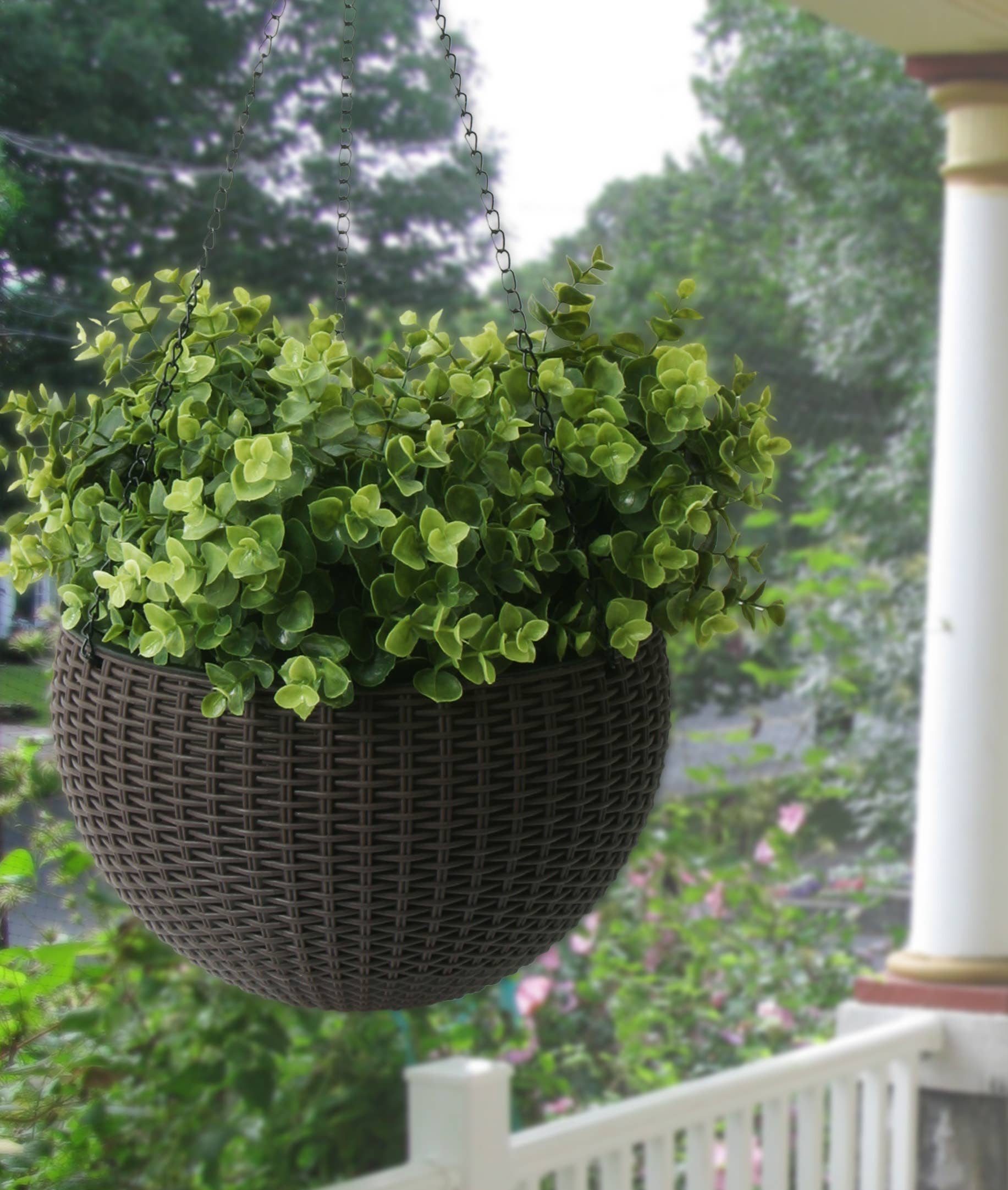 Algreen - Wholesale Hanging Planter - Modena Self-Watering Hanging Basket Planter19