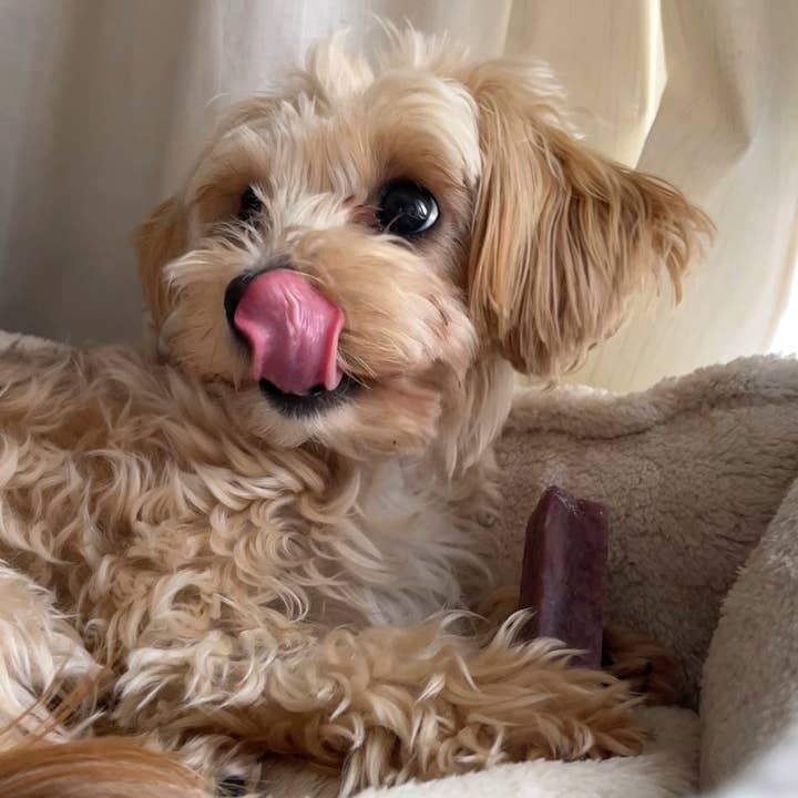 Real Pet Supplies - Wholesale Pet Treats - Dog - K2 Yak Chews 100% Natural Dog Treats Blueberry Medium2