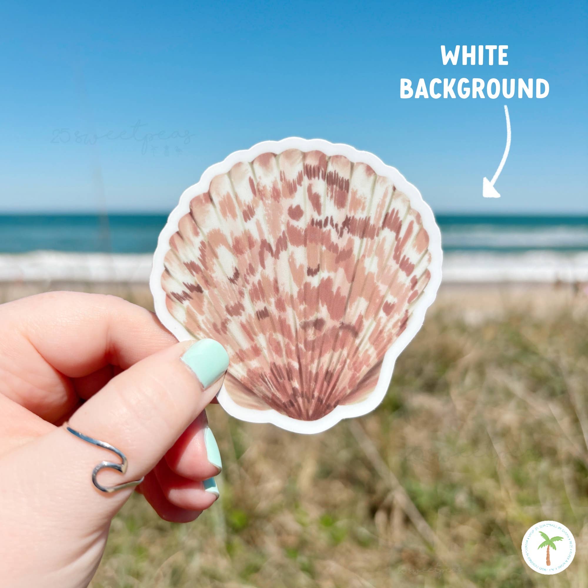 25 Sweetpeas - Wholesale Sticker - Calico Shell Sticker, Beach Sticker, Calico Scallop3