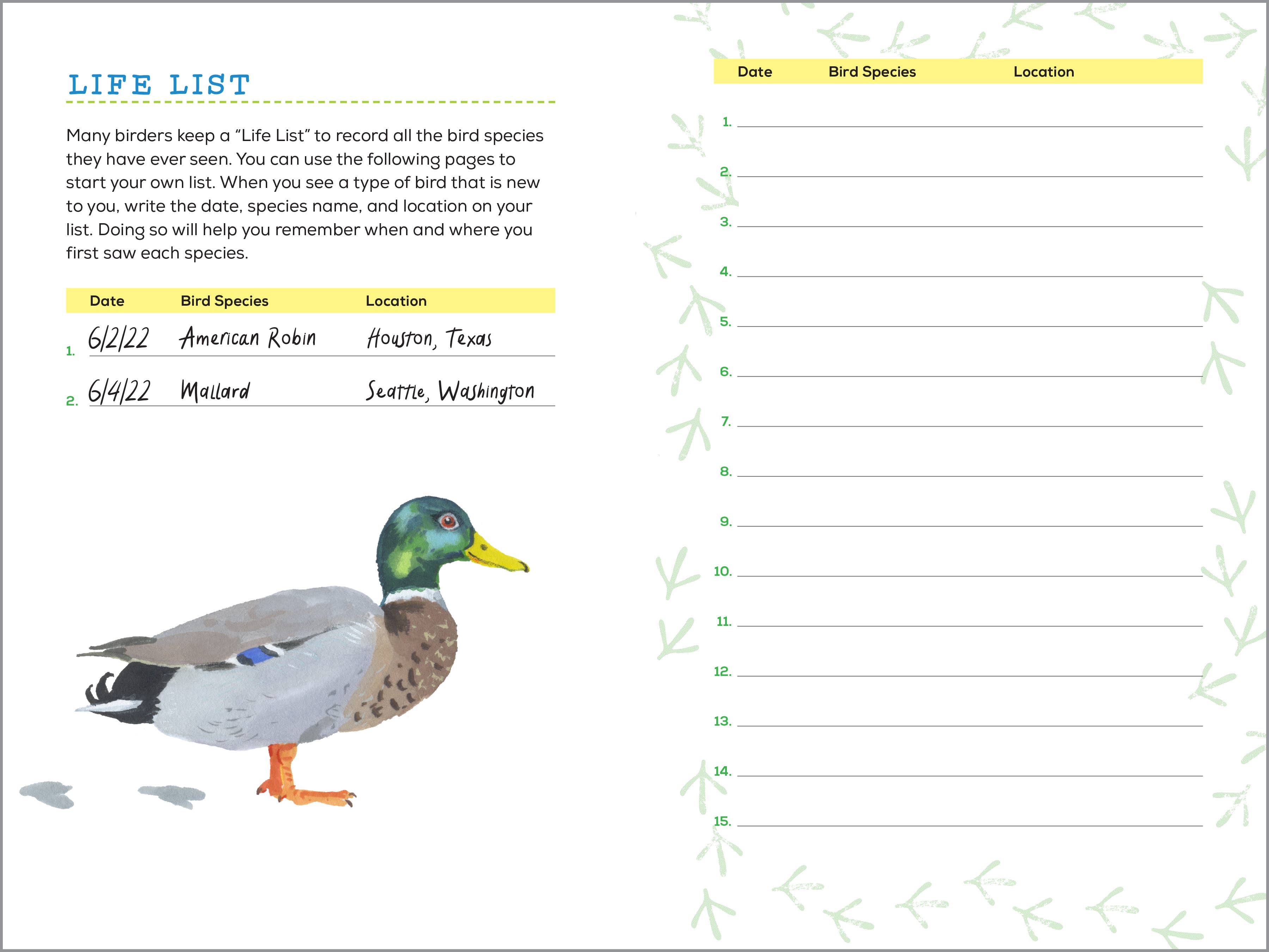 Sourcebooks - Wholesale Nature & Outdoors - Bird Watching Book for Kids3