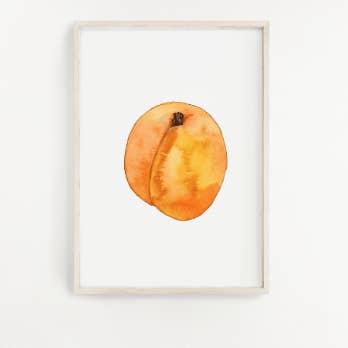 Apricot Print for wholesale by Jennie Kilcup Watercolors