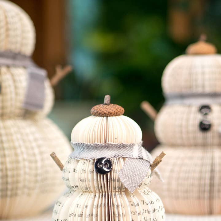 Root To Vine - Vente Décoration de Noël - Cadeau de Noël Bonhomme de Neige - Cadeau de Livre Littéraire9