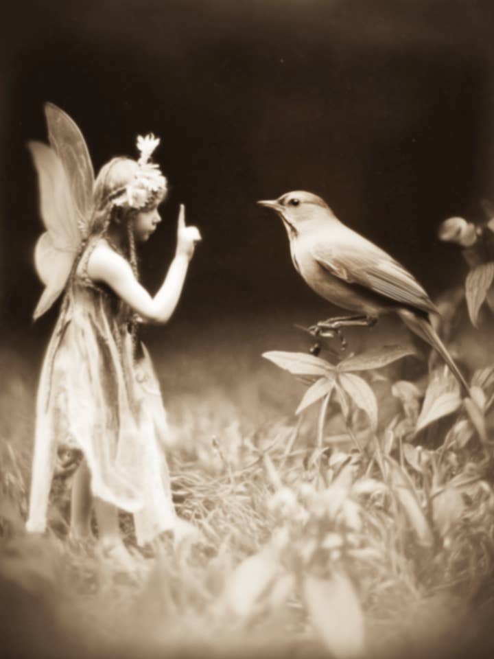 Fairy Evidence Cambridge Institute Art Print - Fairies 8"x10" Artwork for wholesale by Mowbi