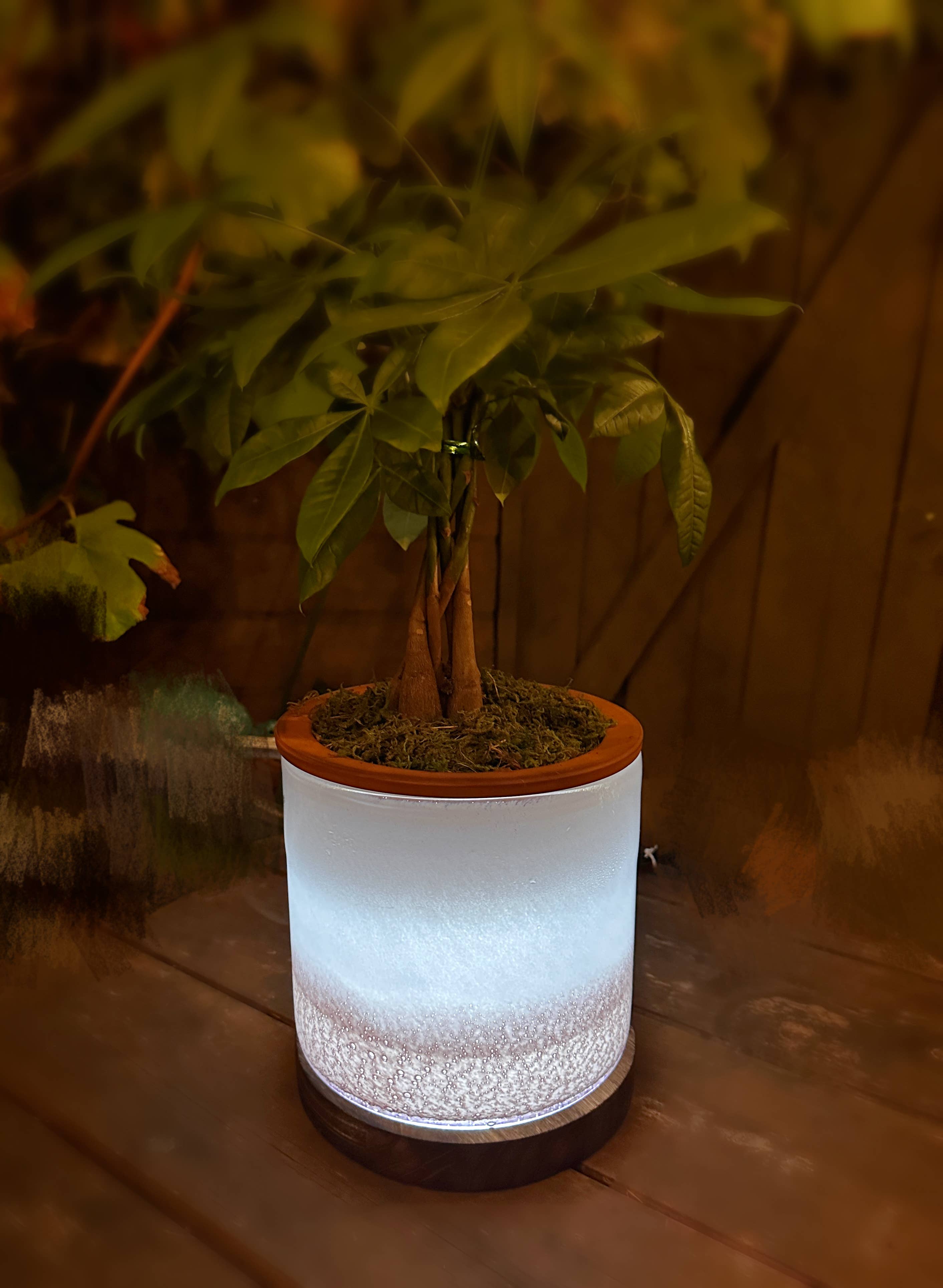 ApricotMint - Wholesale Plant Pot - 8" Art Glass LED Self Watering Planter (USB Plug-in)11