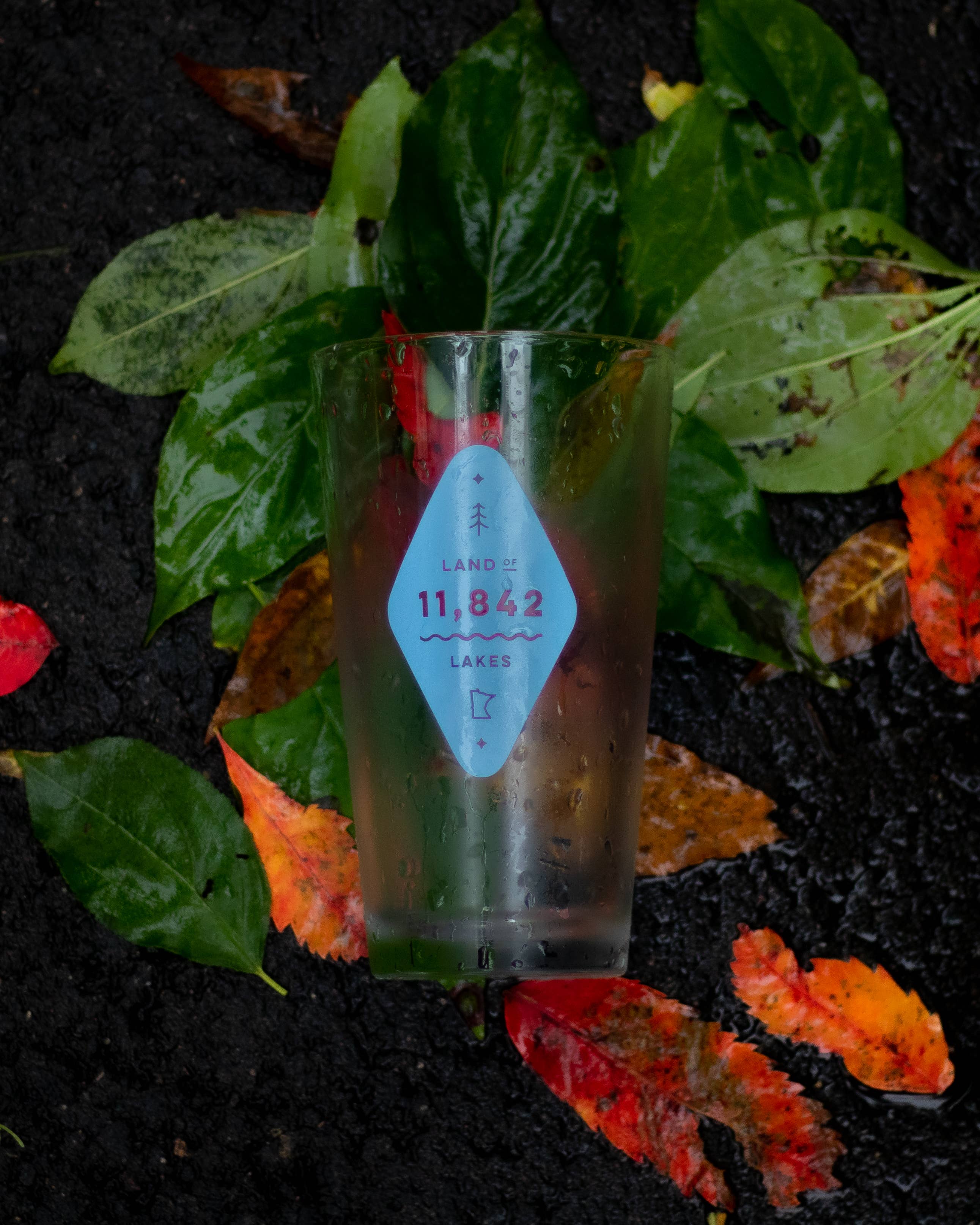 Northern Goods - Wholesale Beer Glass/Mug - Land of Lakes Pint Glass2