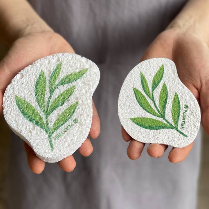 Plantish - Wholesale Cleaning Sponge - Eucalyptus - Pop up Sponge