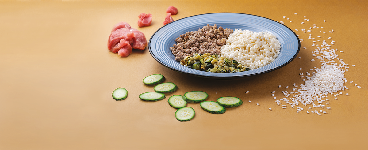 Lovbau srl - Wholesale Pet Food - Dog - Ready-made dish cooked with turkey with frozen vegetables1