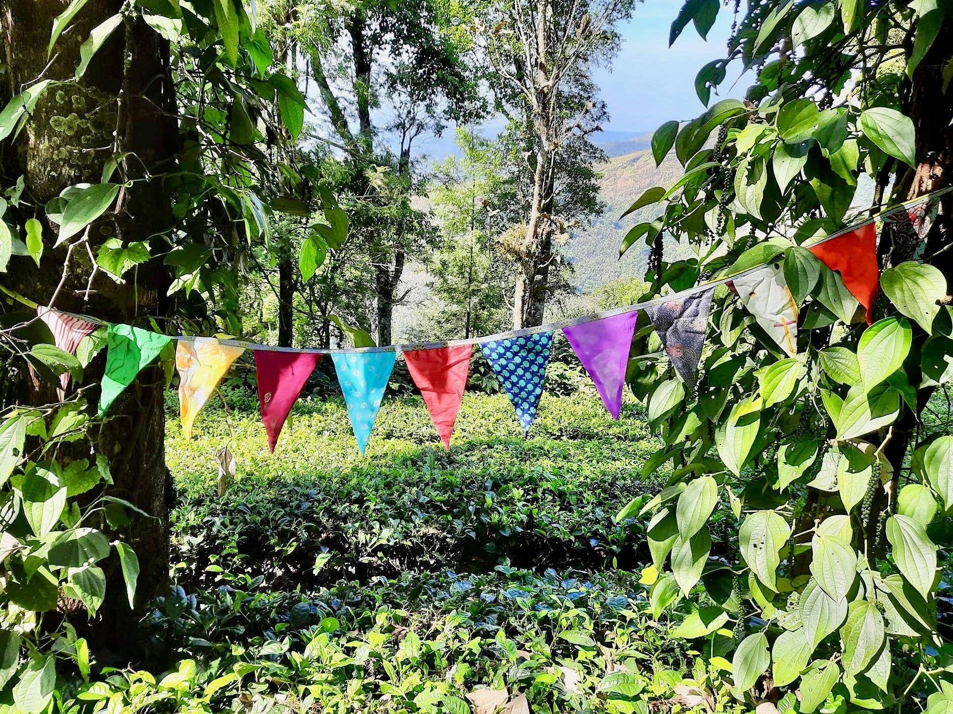 Green Frog India - Wholesale Bunting/Garland - Upcycled Sari Bunting Garlands and Pennant Flags7
