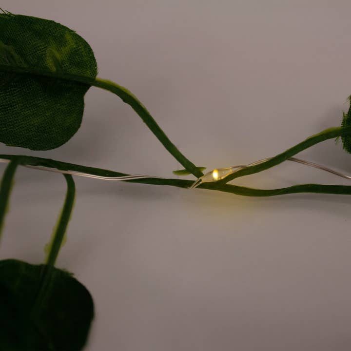 Perfect Holiday - Vendita all'ingrosso Fili di luci - Stringa di luci a LED per tende a vite da 12,7 x 8,9 cm, colore: bianco caldo