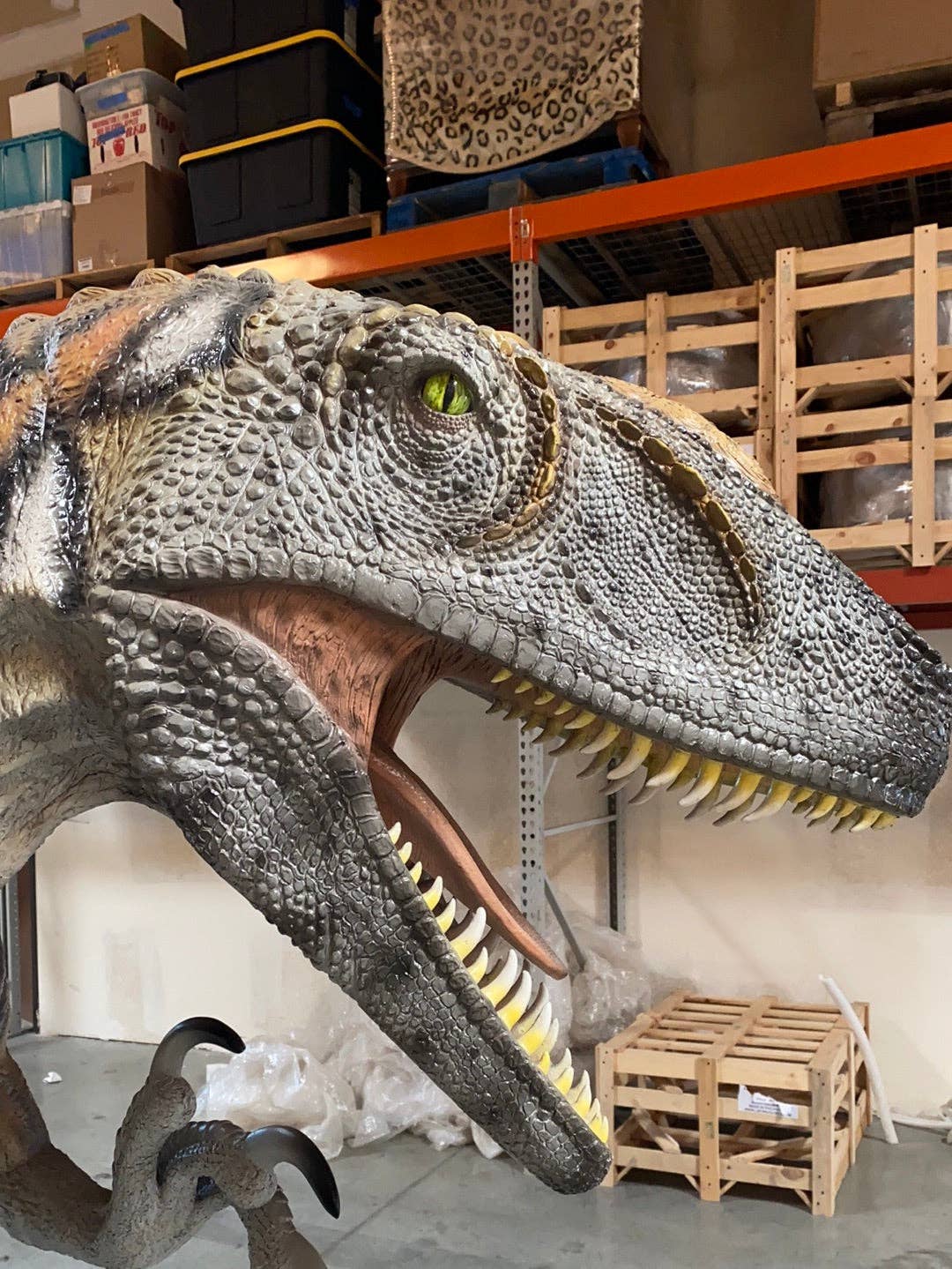 LM Treasures - Wholesale Figurine Toy - Kids - Australovenator Dinosaur Life Size Statue20