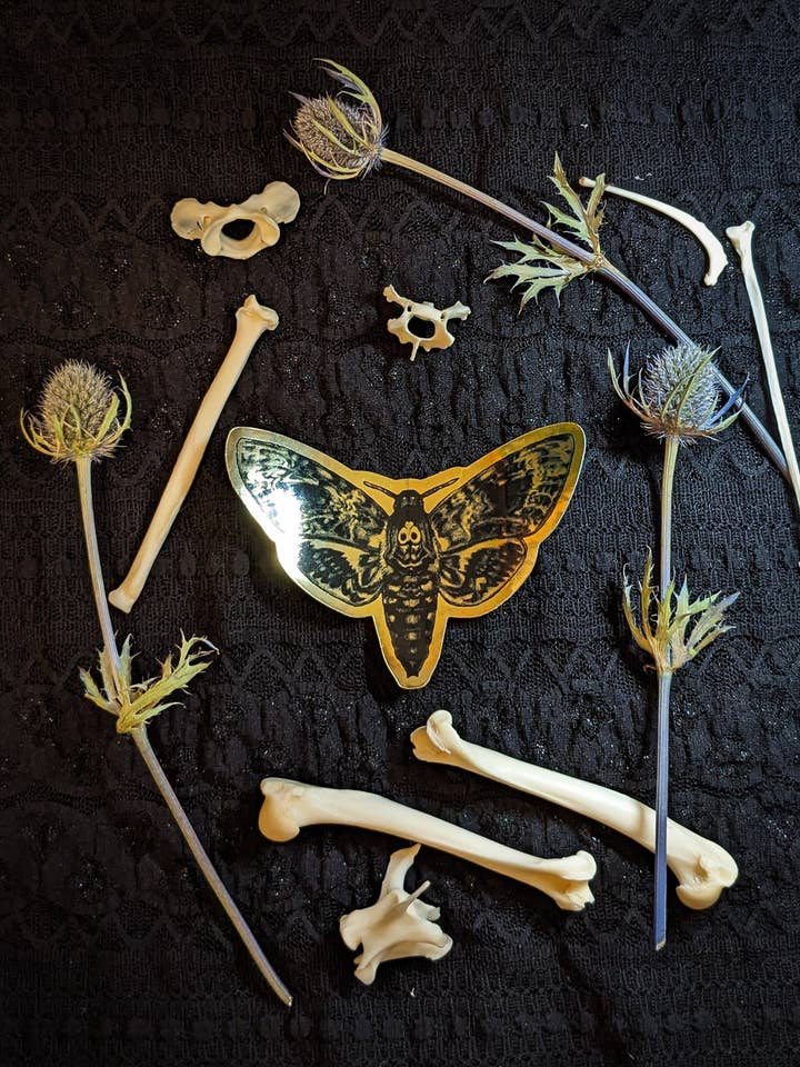 Autocollant en feuille d'or - Tête de mort pour la vente par Studio Umbralux