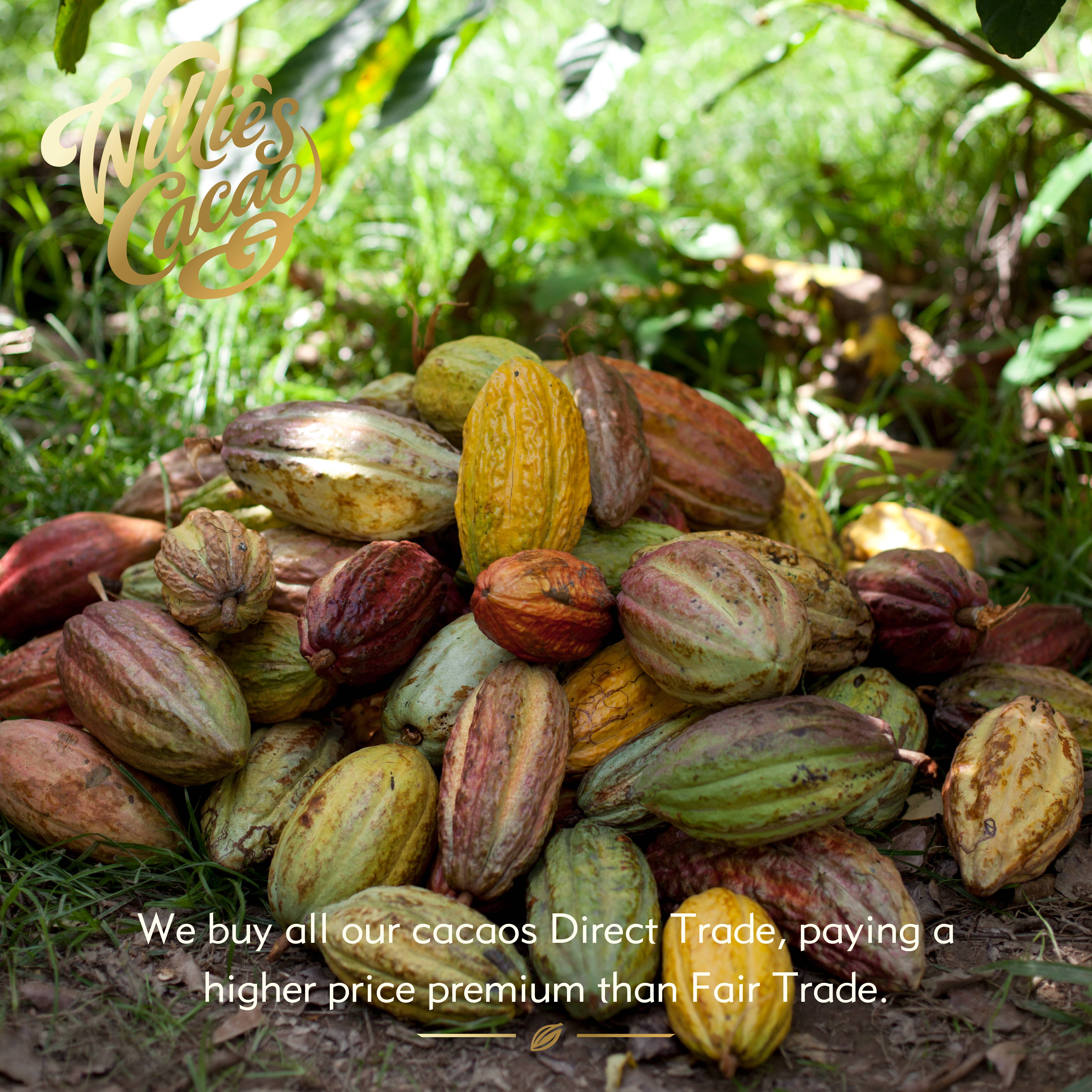 Willie's Cacao - Vente Barre chocolatée - Milk of the Gods - Chocolat au lait 44 % Rio Caribe, tablette de 26 g6