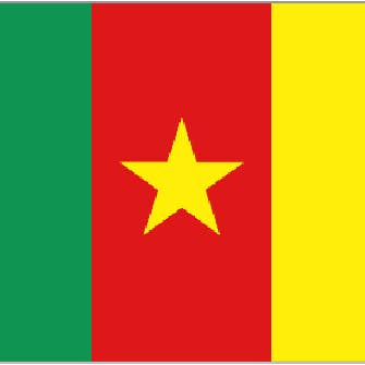 Cameroon 5' x 3' for wholesale by Worldwide Flags Ltd