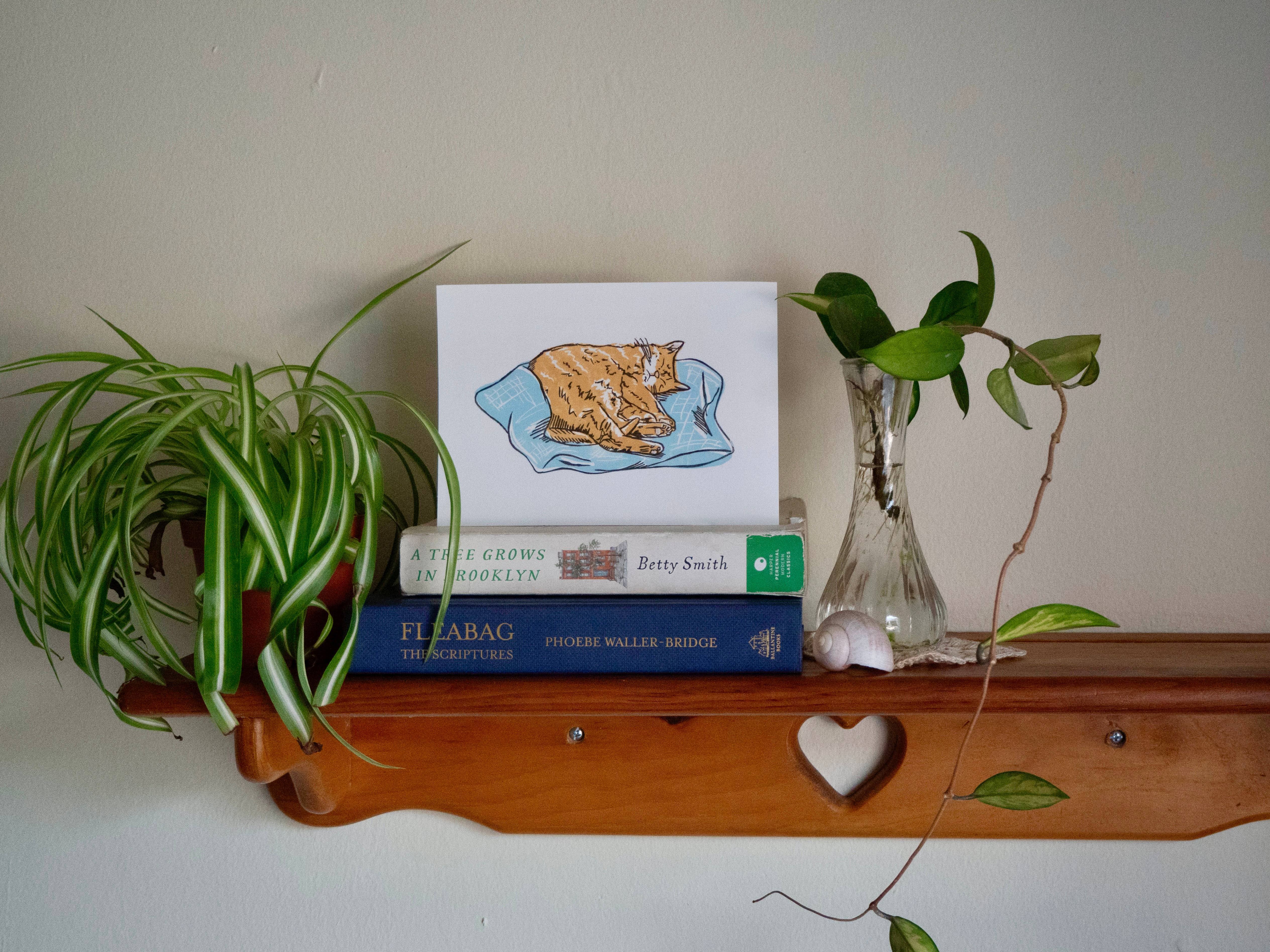 Elyana Smith Prints - Wholesale Art Print - Kitty Print0