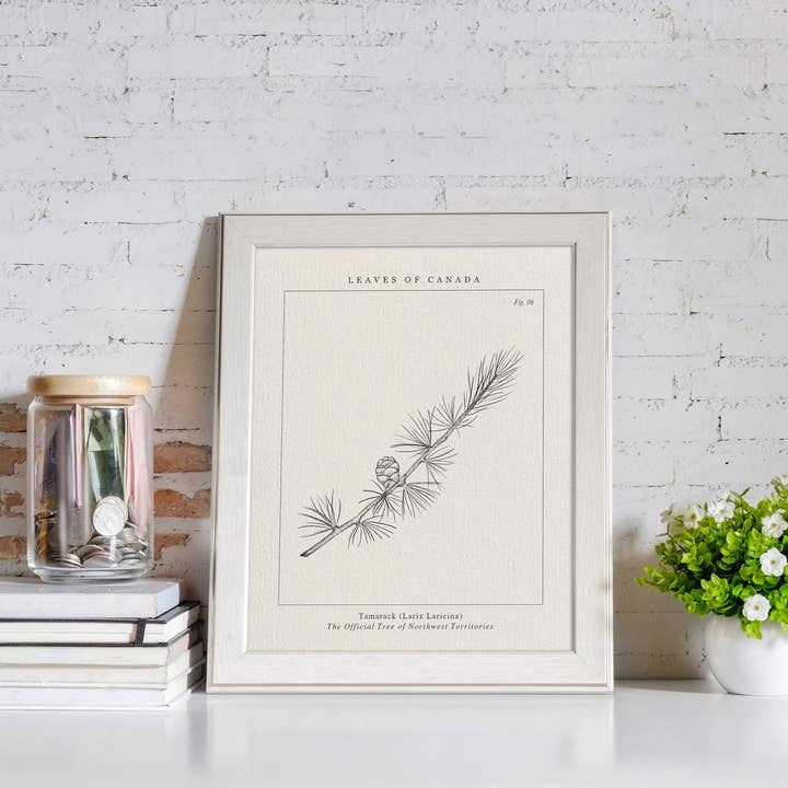 Leaves of Canada – wholesale Art print – PROVINCIAL TREE OF NORTHWEST TERRITORIES, TAMARACK ART PRINT1