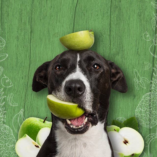 Tippy Taps Treats - Wholesale Pet Treats - Dog - Natural Dog Treats, Tart Apple Chews 100gr, Vegan Gluten Fr.4