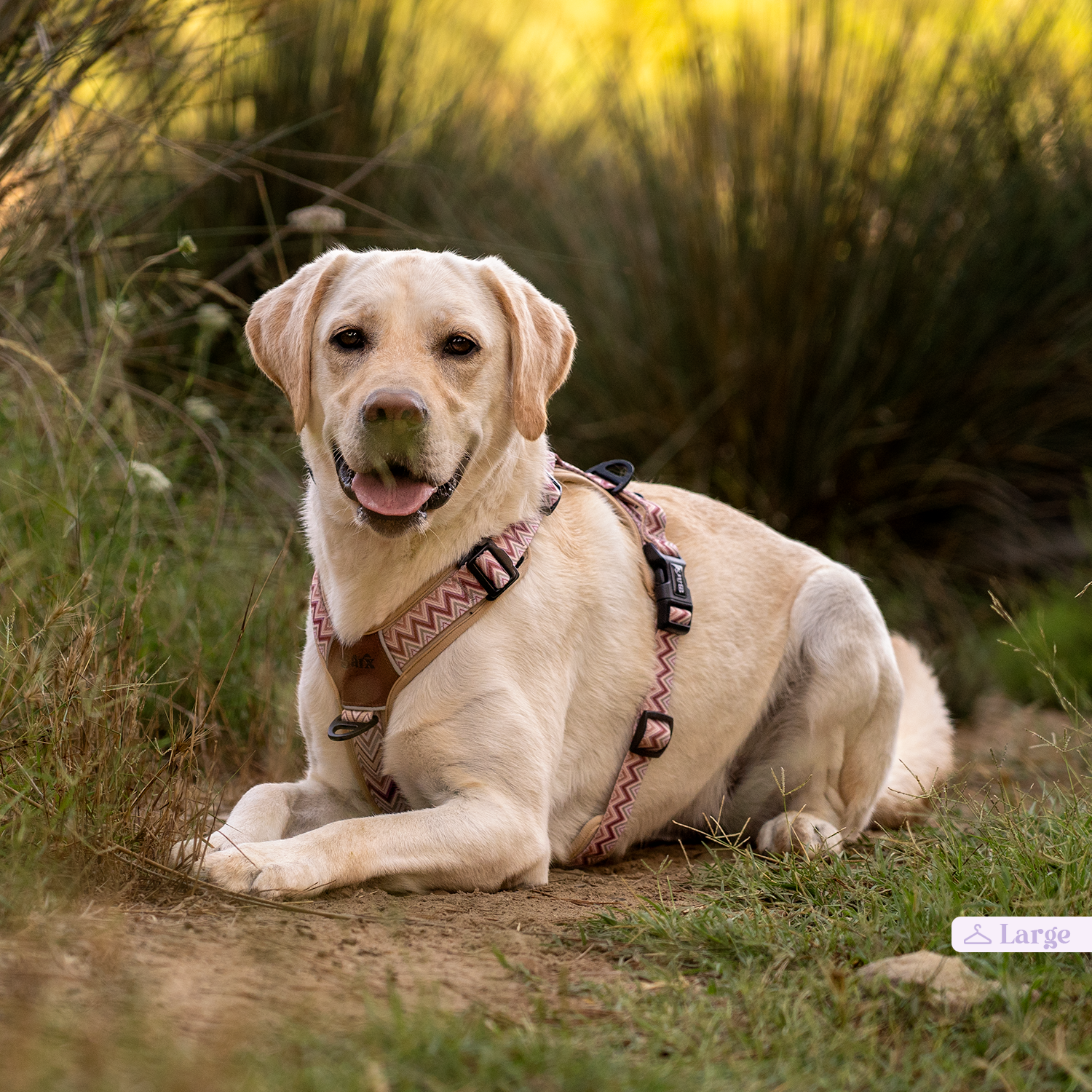 Barx - Wholesale Pet Harness - Dog - Adventure Air Harness | Missoni2