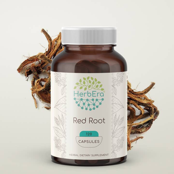 HerbEra - Wholesale Oral Supplement/Vitamin - Red Root Capsules
