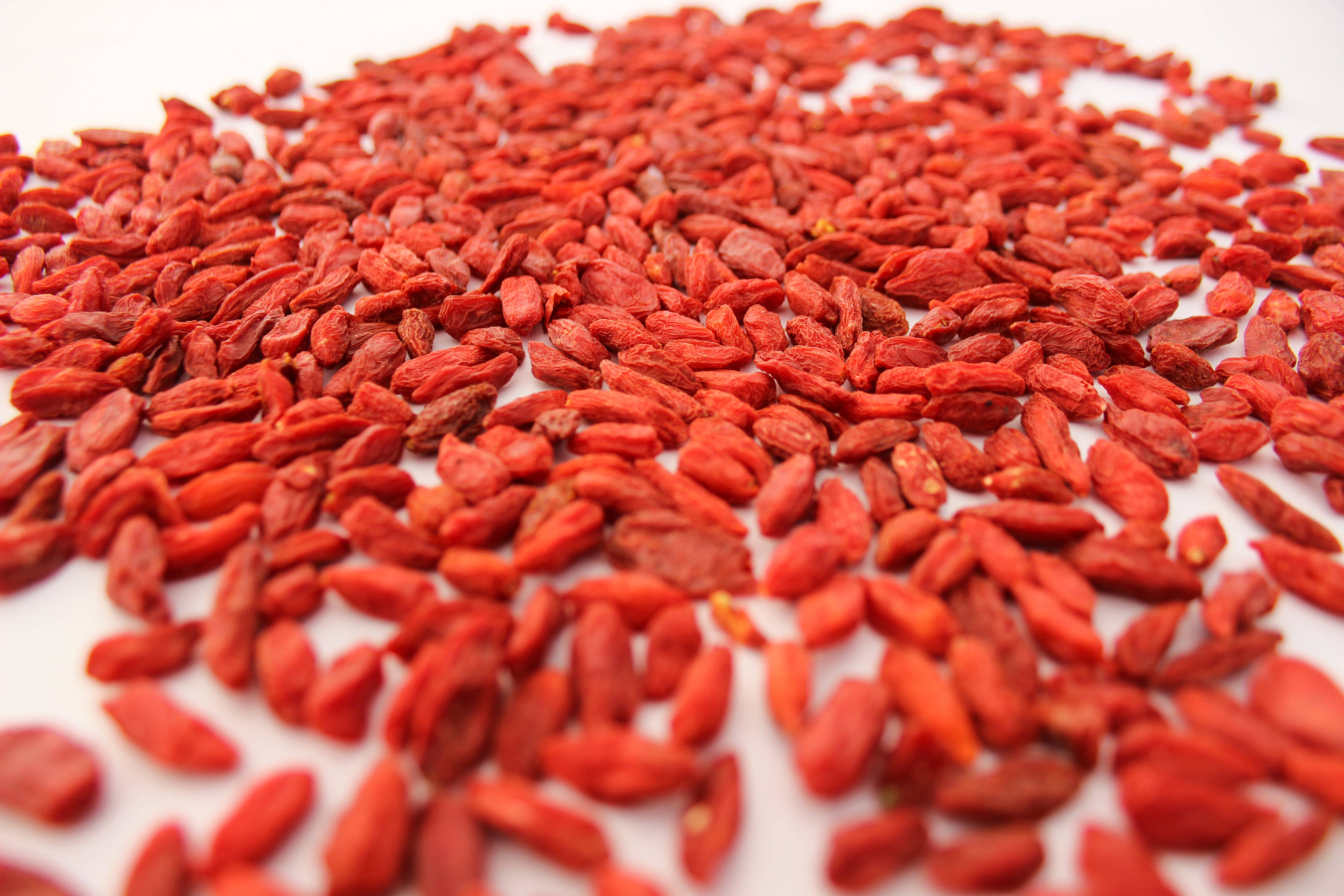 Good Stuff Cacao - Wholesale Dried/Dehydrated Fruit - Goji Berries2