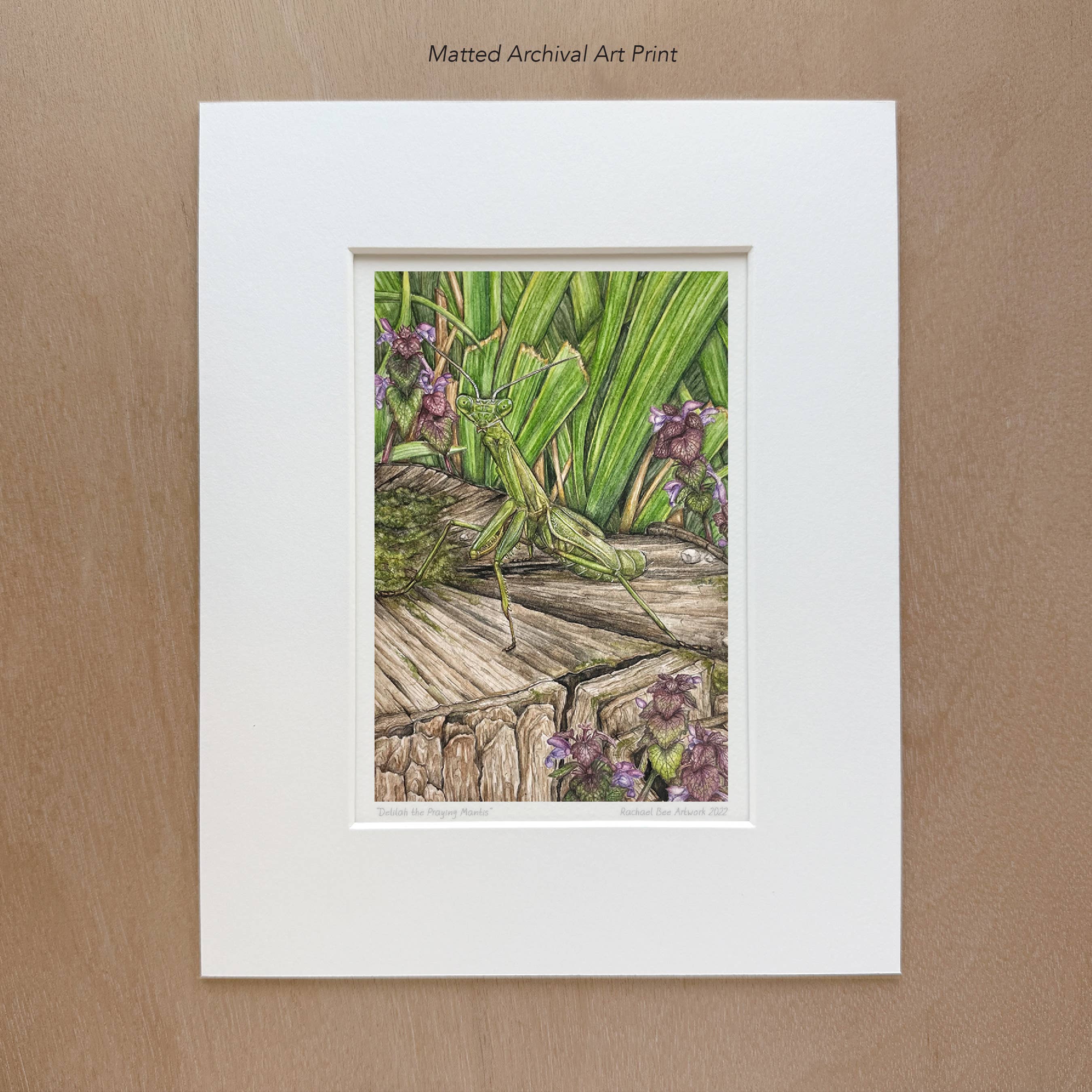 Rachael Bee Artwork - Wholesale Art Print - Praying Mantis Art Print1