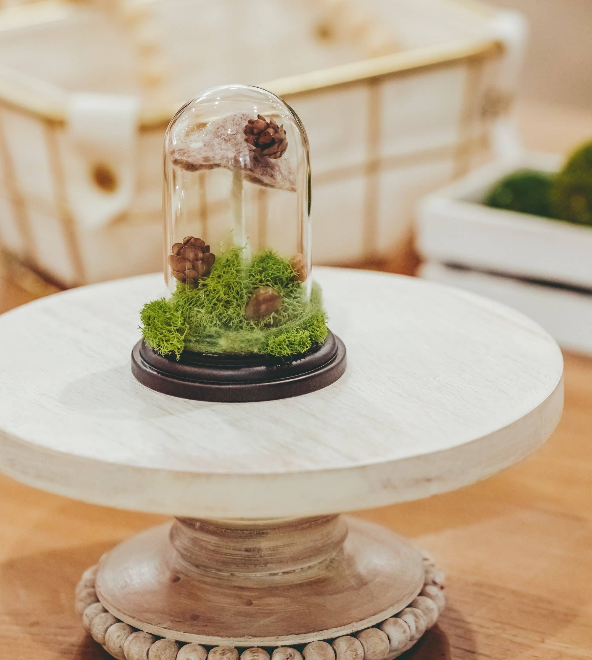 MJ and Me - Vendita all'ingrosso Decorazioni da tavolo - Cloche per terrario Forest Floor3