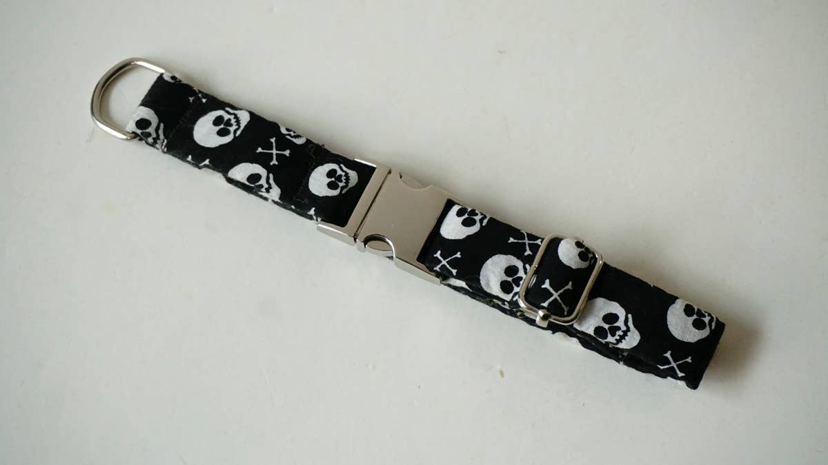 hundsfutter - Wholesale Pet Collar - Dog - Small collar for dogs with skulls4