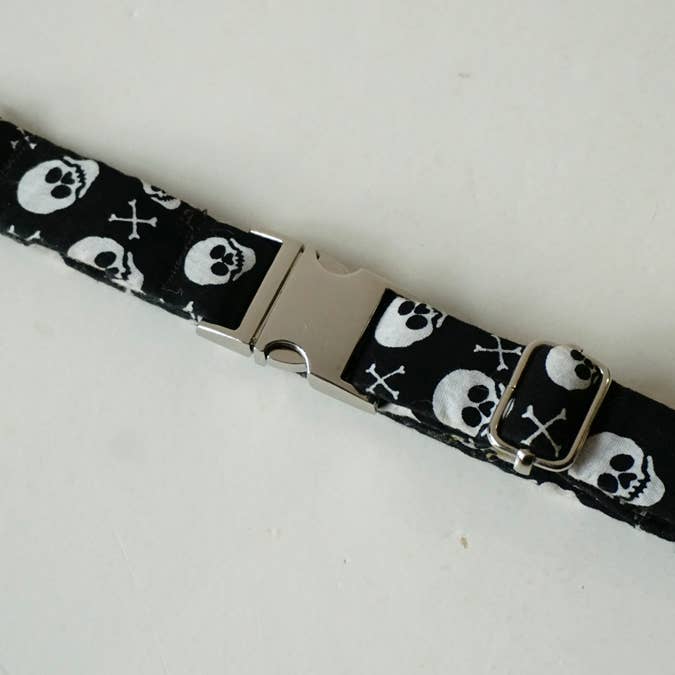hundsfutter - Wholesale Pet Collar - Dog - Small collar for dogs with skulls4