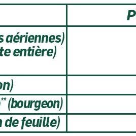 Melatonina orgánica 1900 para venta al por mayor de SANTAROME BIO