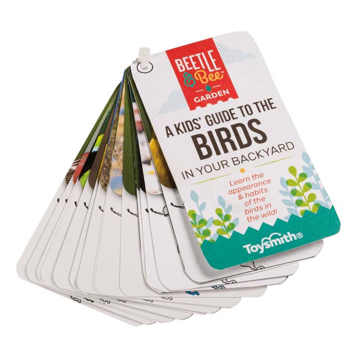 Toysmith - Wholesale Toy Set - Kids - Beetle & Bee Little Birder Set-Bird Watching for Kids2