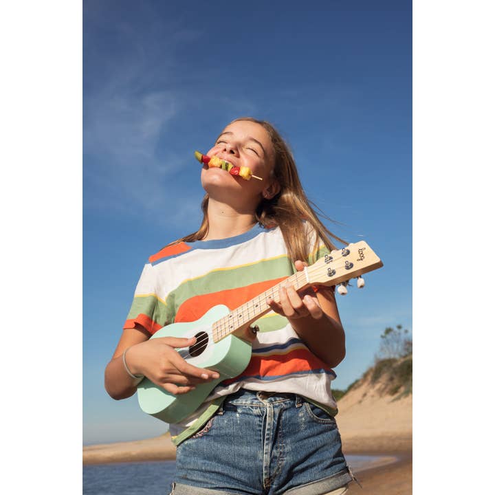 Loog Guitars Wholesale - Wholesale Music Accessory - Loog Ukulele22