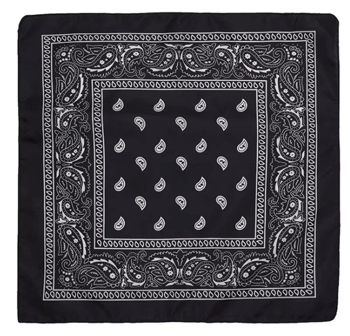 HoopLa - Wholesale Bandana - Women's - Bandana- 22" X 22"  100% Cotton Square Bandana Scarf0