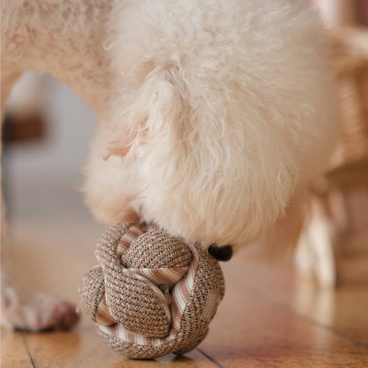 Lambwolf Collective - Wholesale Pet Chew Toy - Dog - MINI MONTI //Enrichment Toy3