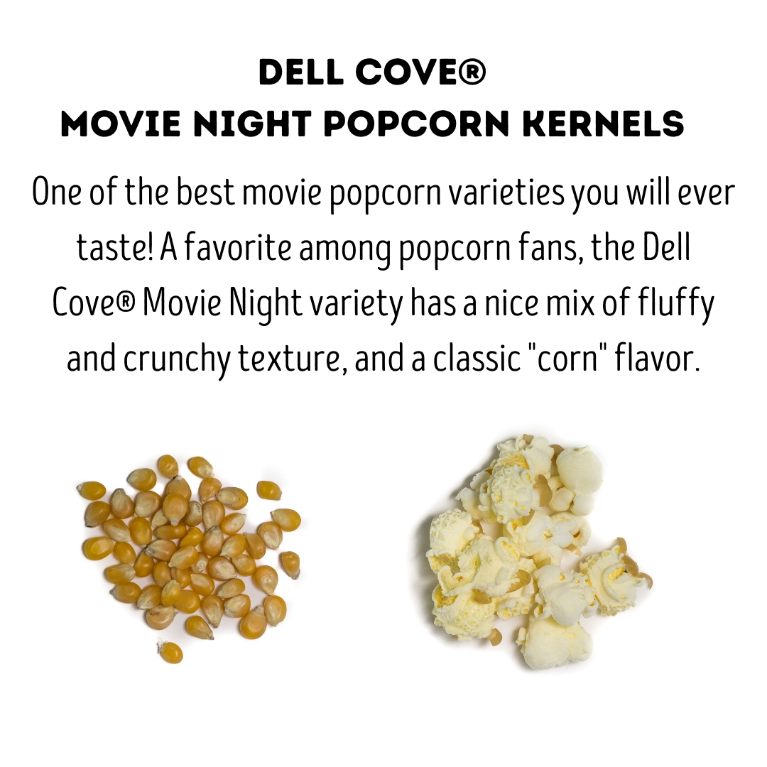 Dell Cove Spices & More Co. - Wholesale Popcorn Kernels - Movie Night Popcorn Kernels -  Half Pound  - Movie Theater1